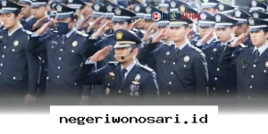 Panduan Lengkap Lolos Seleksi CPNS Bea Cukai 2026 untuk Lulusan SMA!